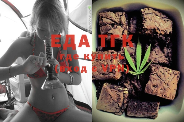 хмурый Аркадак