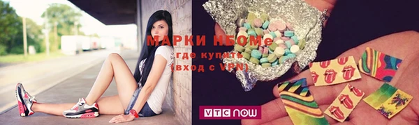 хмурый Аркадак