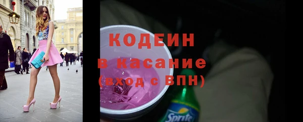 хмурый Аркадак