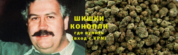 хмурый Аркадак