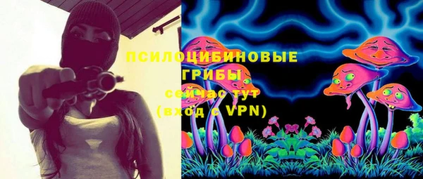 ECSTASY Каменногорск