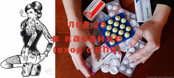 хмурый Аркадак