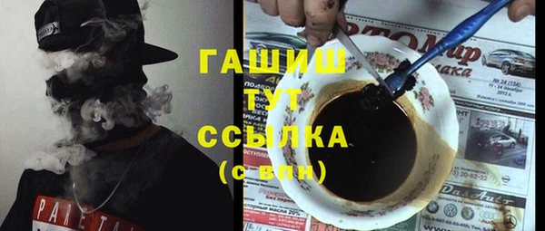 хмурый Аркадак