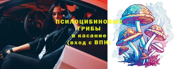 гидра Армянск