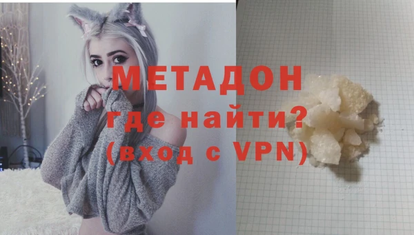 хмурый Аркадак