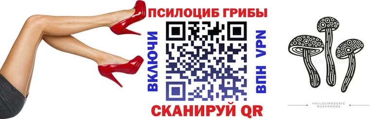Псилоцибиновые грибы мицелий  ссылка на мегу сайт  Коломна 