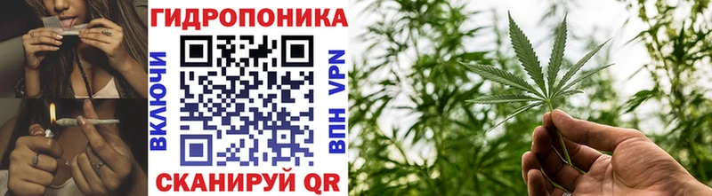Марихуана SATIVA & INDICA  Коломна 